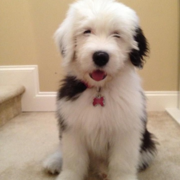 Meet your Posher, Tammy - Picture 1 of 1